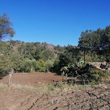 Casas De Marvao - Quinta Da Bela Vista Villa Exteriör bild