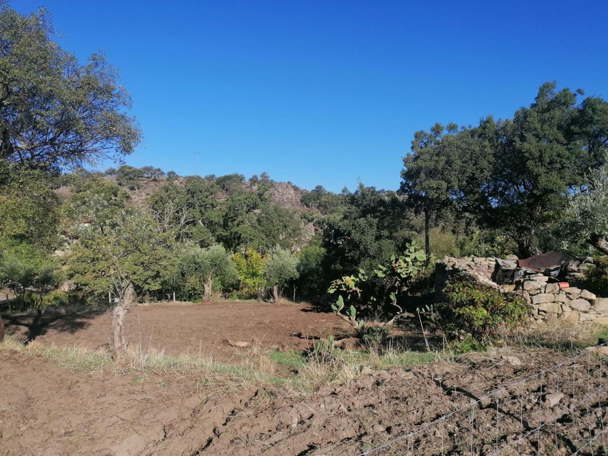 Casas De Marvao - Quinta Da Bela Vista Villa Exteriör bild
